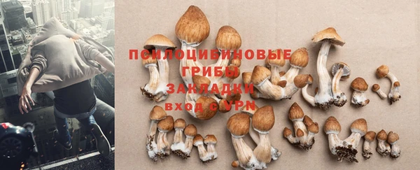 трава Балабаново
