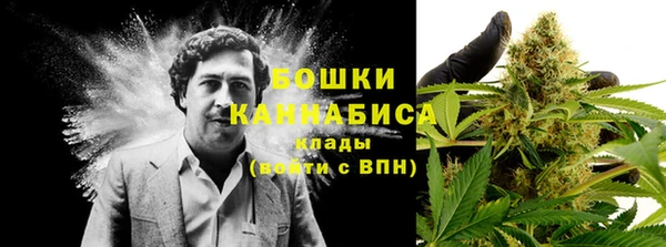 скорость mdpv Белокуриха
