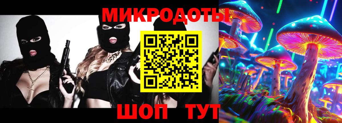 Псилоцибиновые грибы Psilocybe Верхний Уфалей