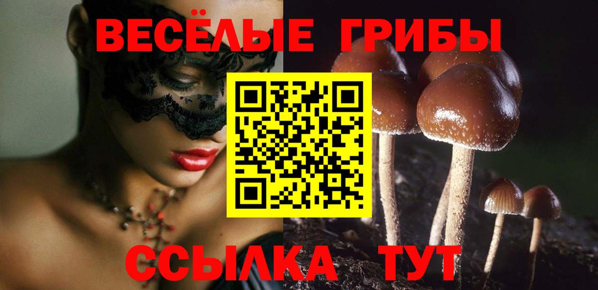 Галлюциногенные грибы Cubensis  Верхний Уфалей  Псилоцибиновые грибы Cubensis 