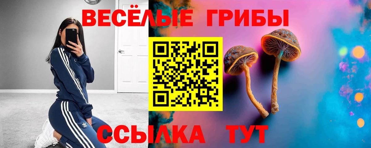 Верхний Уфалей  Галлюциногенные грибы Psilocybe  Вход с VPN 